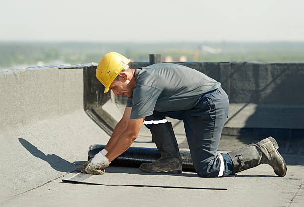 Best Insulation Maintenance and Repair in North Palm Beach, FL